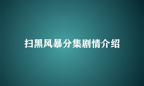 扫黑风暴分集剧情介绍