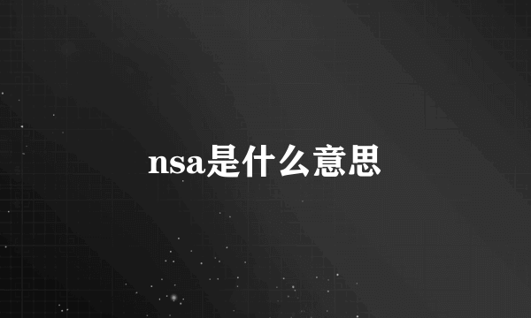 nsa是什么意思