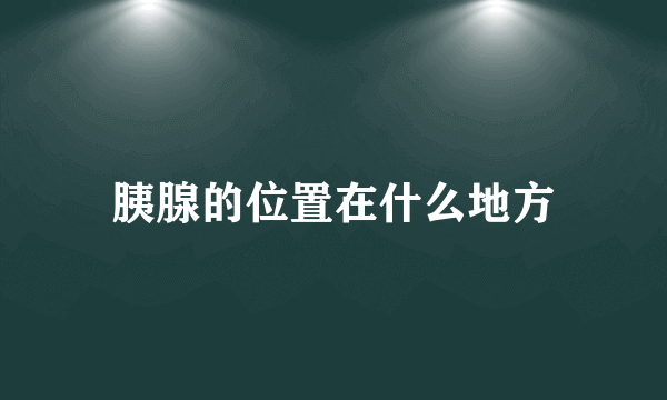 胰腺的位置在什么地方