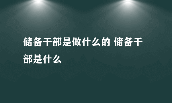 储备干部是做什么的 储备干部是什么