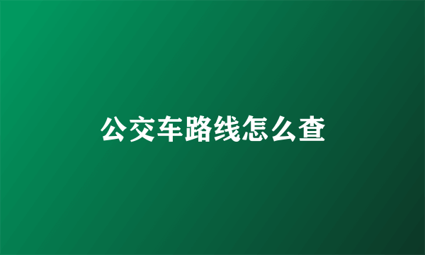 公交车路线怎么查