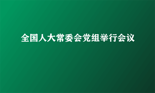 全国人大常委会党组举行会议