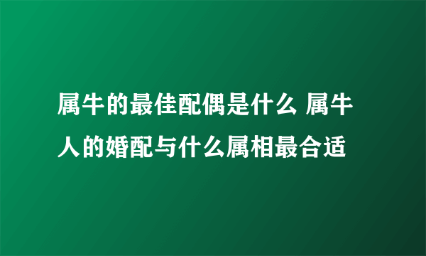 属牛的最佳配偶是什么 属牛人的婚配与什么属相最合适