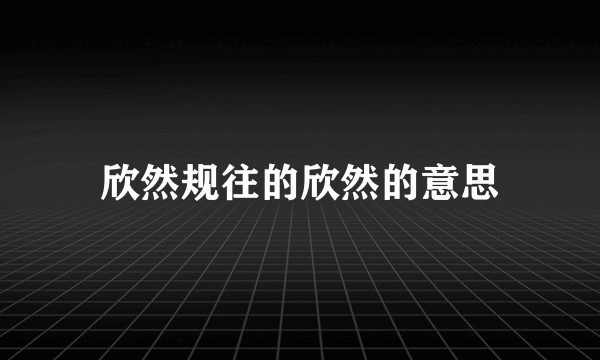 欣然规往的欣然的意思