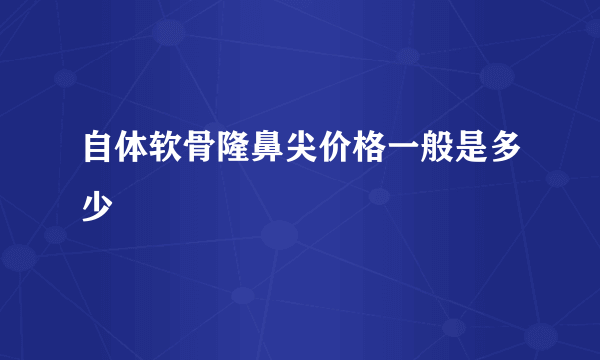 自体软骨隆鼻尖价格一般是多少