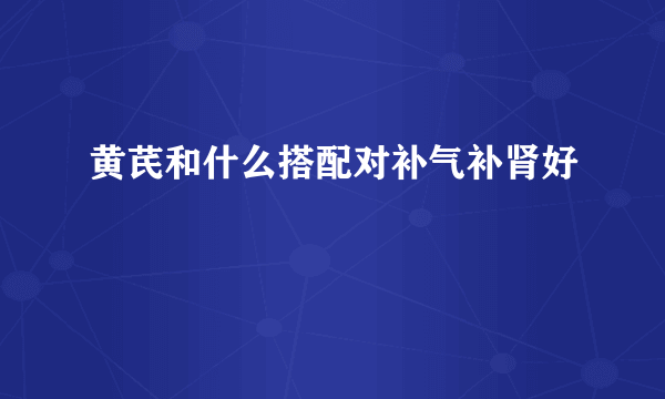 黄芪和什么搭配对补气补肾好