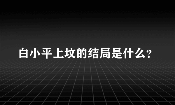 白小平上坟的结局是什么？