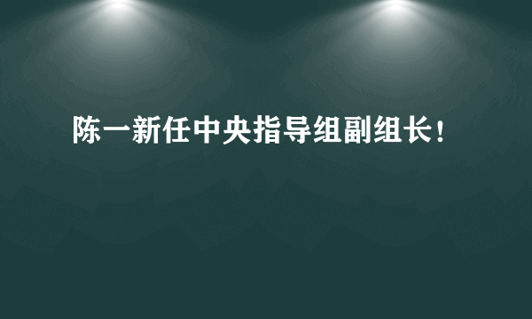 陈一新任中央指导组副组长！