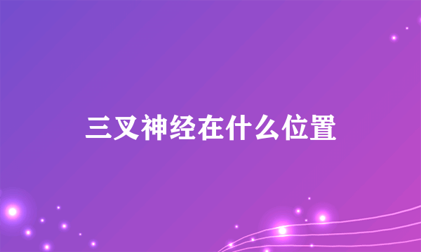 三叉神经在什么位置