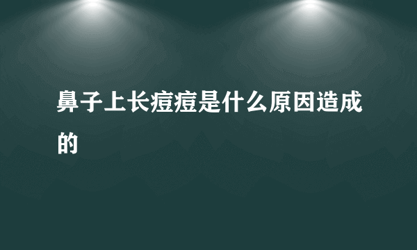 鼻子上长痘痘是什么原因造成的