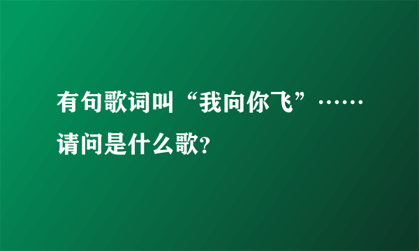 有句歌词叫“我向你飞”……请问是什么歌？