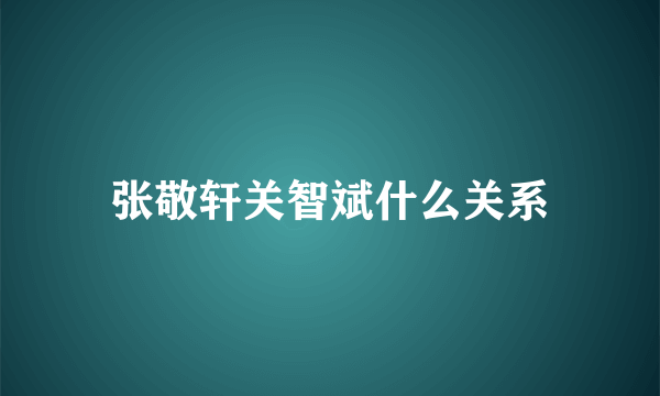 张敬轩关智斌什么关系