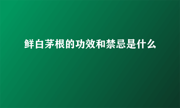 鲜白茅根的功效和禁忌是什么