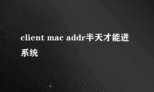 client mac addr半天才能进系统