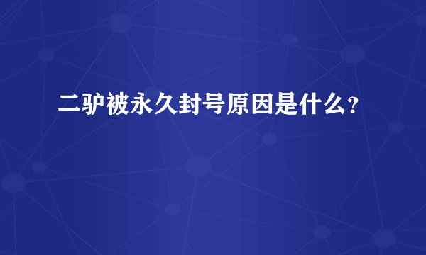 二驴被永久封号原因是什么？