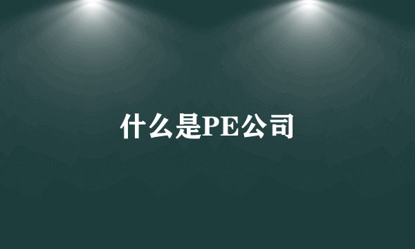 什么是PE公司