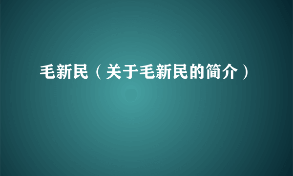 毛新民（关于毛新民的简介）