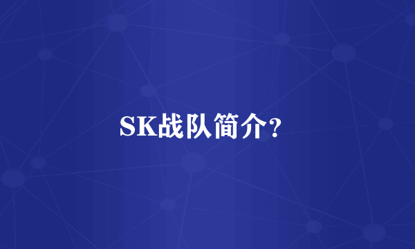 SK战队简介？