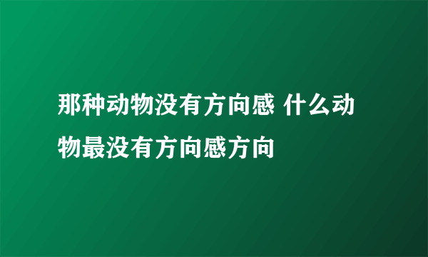 那种动物没有方向感 什么动物最没有方向感方向