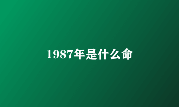 1987年是什么命