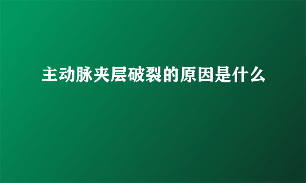 主动脉夹层破裂的原因是什么