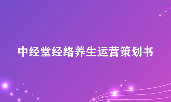 中经堂经络养生运营策划书