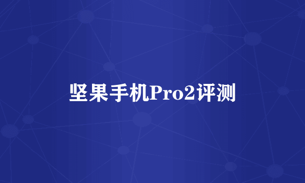 坚果手机Pro2评测