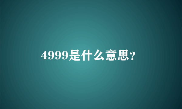 4999是什么意思？