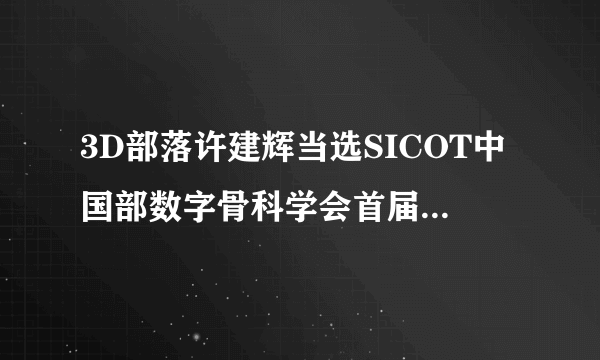 3D部落许建辉当选SICOT中国部数字骨科学会首届常务委员