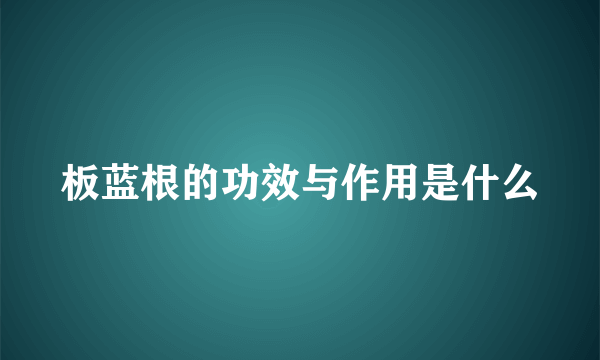 板蓝根的功效与作用是什么