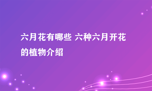 六月花有哪些 六种六月开花的植物介绍