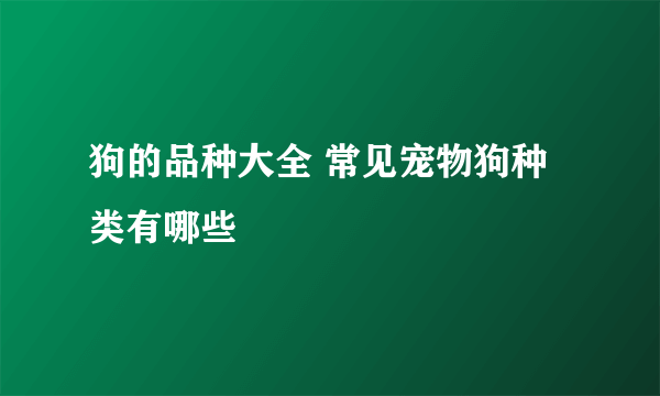 狗的品种大全 常见宠物狗种类有哪些