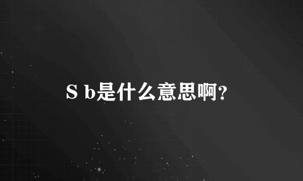 S b是什么意思啊？