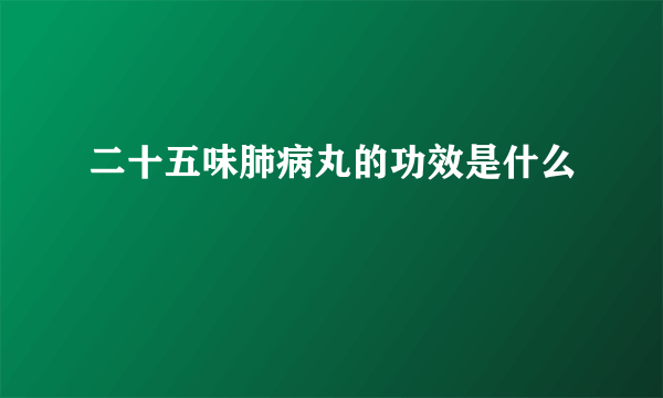 二十五味肺病丸的功效是什么