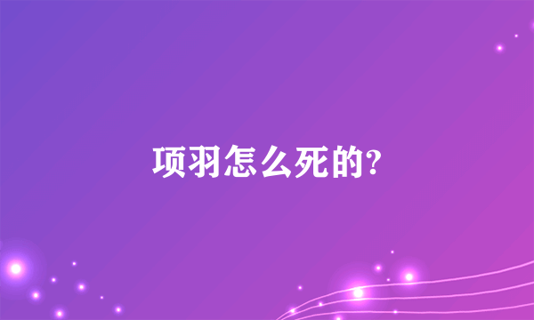 项羽怎么死的?