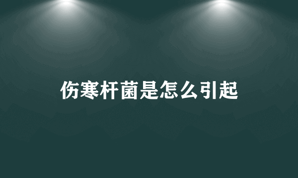 伤寒杆菌是怎么引起