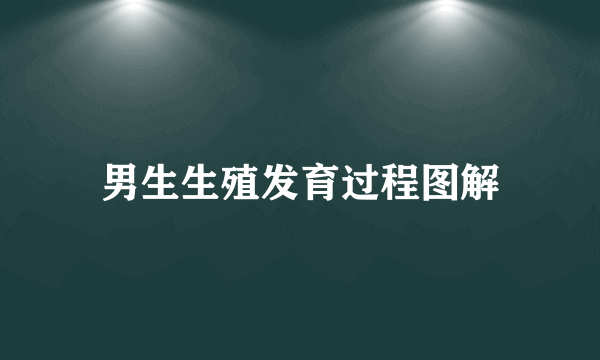 男生生殖发育过程图解