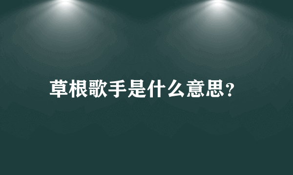 草根歌手是什么意思？