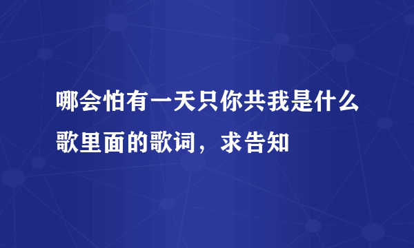 哪会怕有一天只你共我是什么歌里面的歌词，求告知