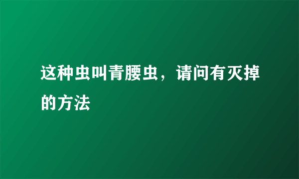 这种虫叫青腰虫，请问有灭掉的方法