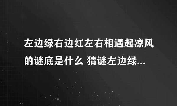 左边绿右边红左右相遇起凉风的谜底是什么 猜谜左边绿右边红左右相遇起凉风是什么