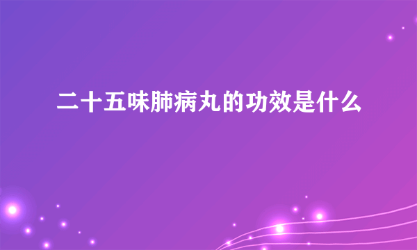 二十五味肺病丸的功效是什么