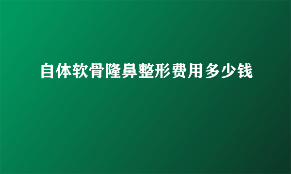 自体软骨隆鼻整形费用多少钱