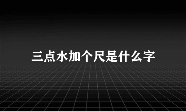 三点水加个尺是什么字