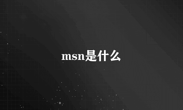 msn是什么