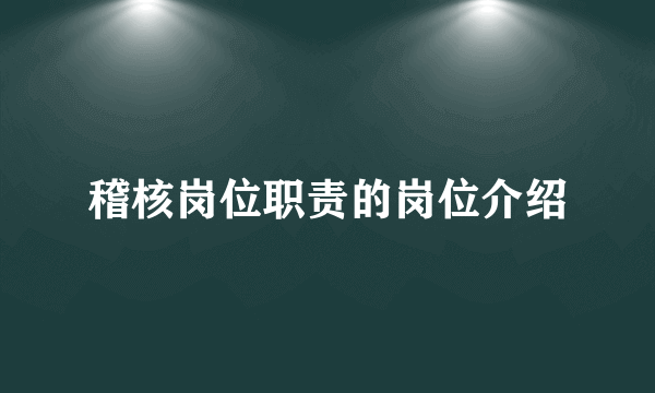 稽核岗位职责的岗位介绍