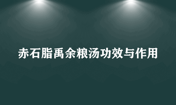 赤石脂禹余粮汤功效与作用