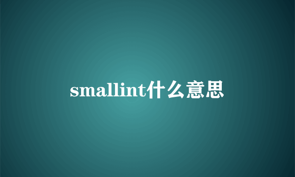 smallint什么意思