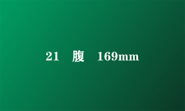 21週腹圍169mm