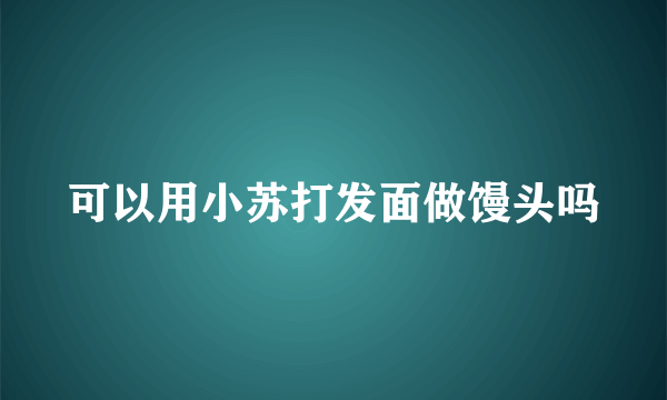 可以用小苏打发面做馒头吗